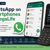 Which Kosher Phones Have WhatsApp?