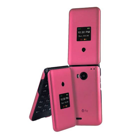 Case for Fig Flip 2